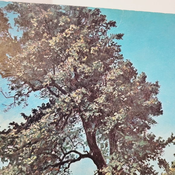 Tucuman Farm Scene" by John Schmitz-Lohm - Picture 5 of 13